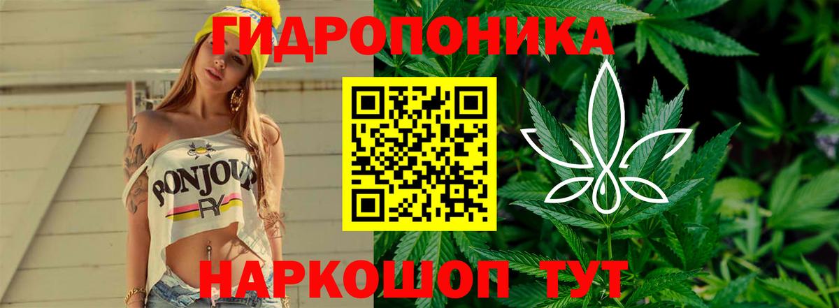 Якутск  Бошки марихуана THC 21%  Каннабис AK-47  Вход с VPN  Шишки марихуана конопля 